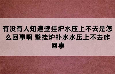 有没有人知道壁挂炉水压上不去是怎么回事啊 壁挂炉补水水压上不去咋回事